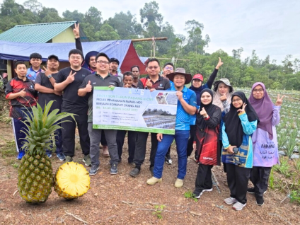 MD2 Pineapple Plantation Project for Professor Turun Padang