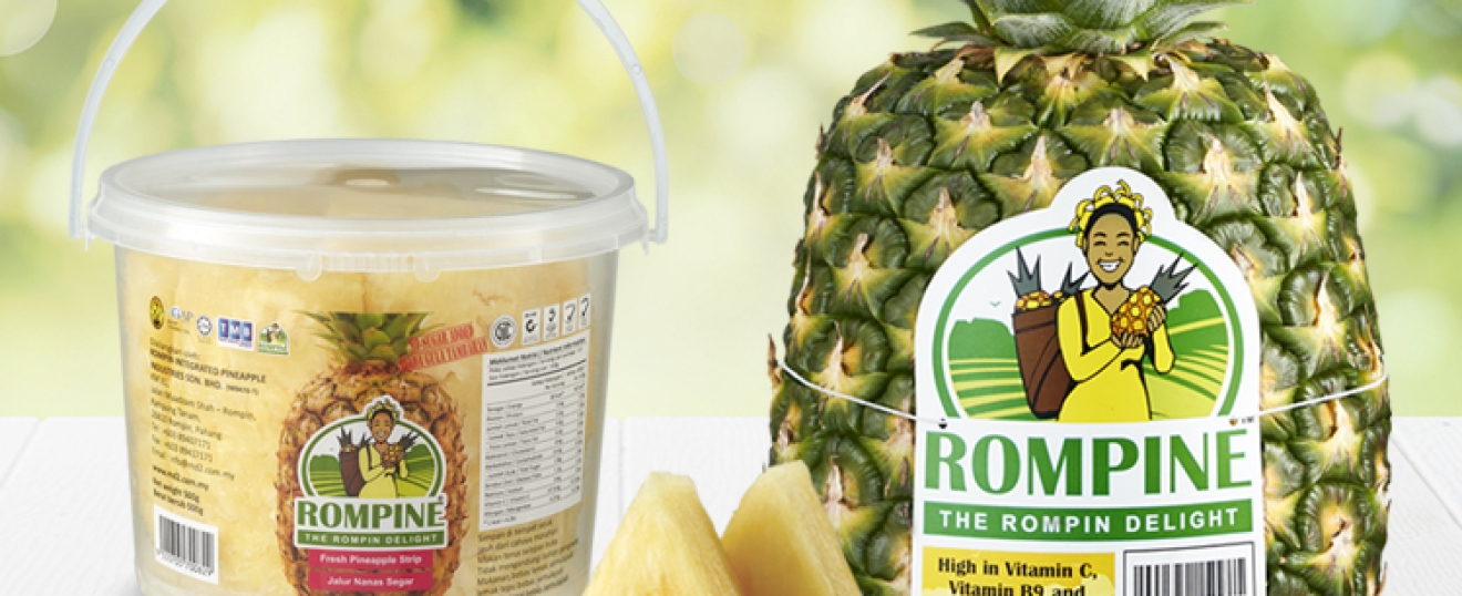 Q &amp; A with Mr. Mohd Shafiq Fayyadh Bin Mohd Sheth, Chief Executive Officer, Rompin Integrated Pineapple Industries Sdn Bhd (ROMPINE)