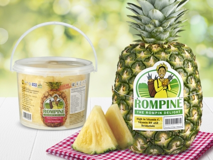 Q &amp; A with Mr. Mohd Shafiq Fayyadh Bin Mohd Sheth, Chief Executive Officer, Rompin Integrated Pineapple Industries Sdn Bhd (ROMPINE)